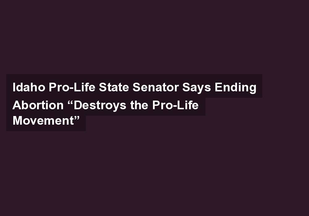 Idaho Pro-Life State Senator Says Ending Abortion “Destroys the Pro-Life Movement”
