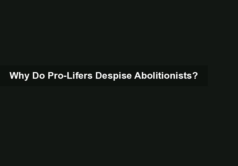 Why Do Pro-Lifers Despise Abolitionists?
